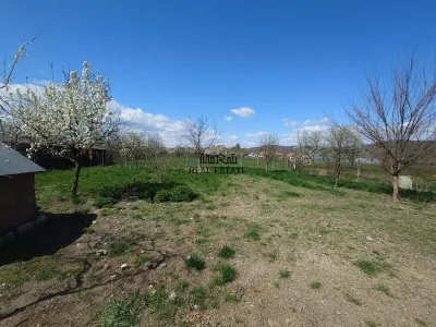 Maison et Terrain, Baia de Cris, Hunedoara - foto 19