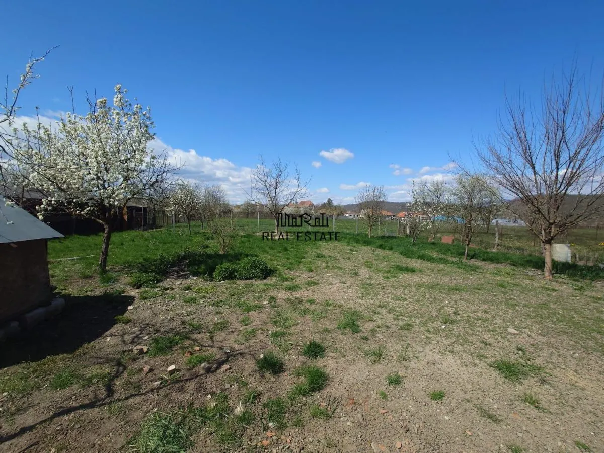 Maison et Terrain, Baia de Cris, Hunedoara - foto 19