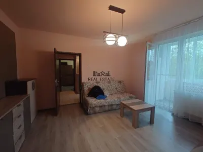 Appartement Trois Pièces Brad - foto 13