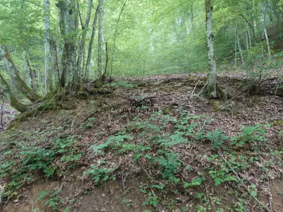 Land Plot in Bulzestii de Sus – 1,632 sqm - foto 2