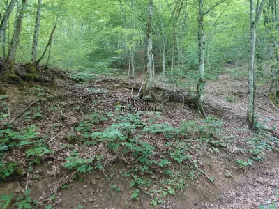 Land Plot in Bulzestii de Sus – 1,632 sqm - foto 3