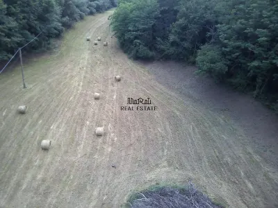 زاوية من الطبيعة بين الغابة والجدول - foto 13