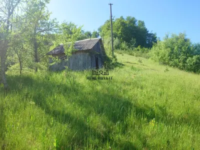 3,5 ha Teren si cladiri in Blajeni - foto 13