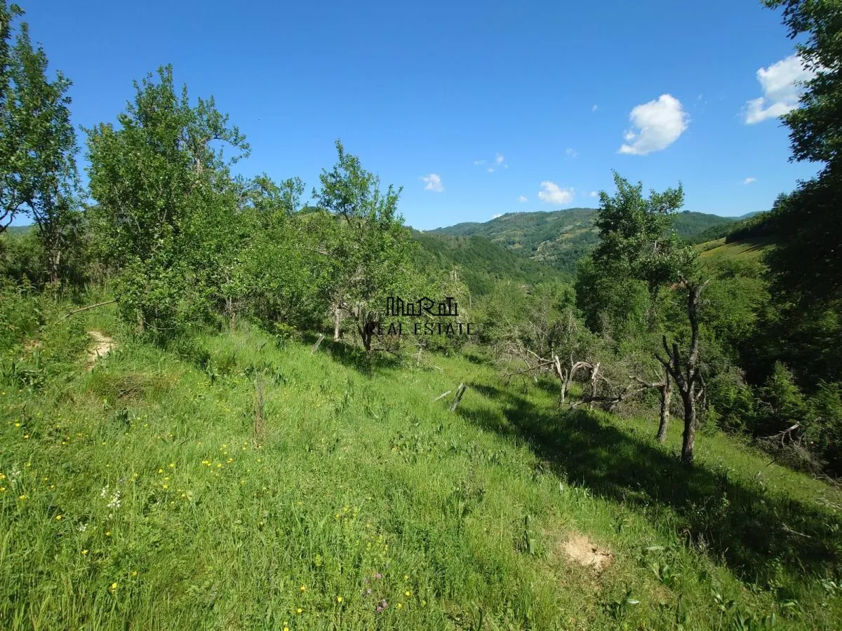 3,5 ha Teren si cladiri in Blajeni - foto 14