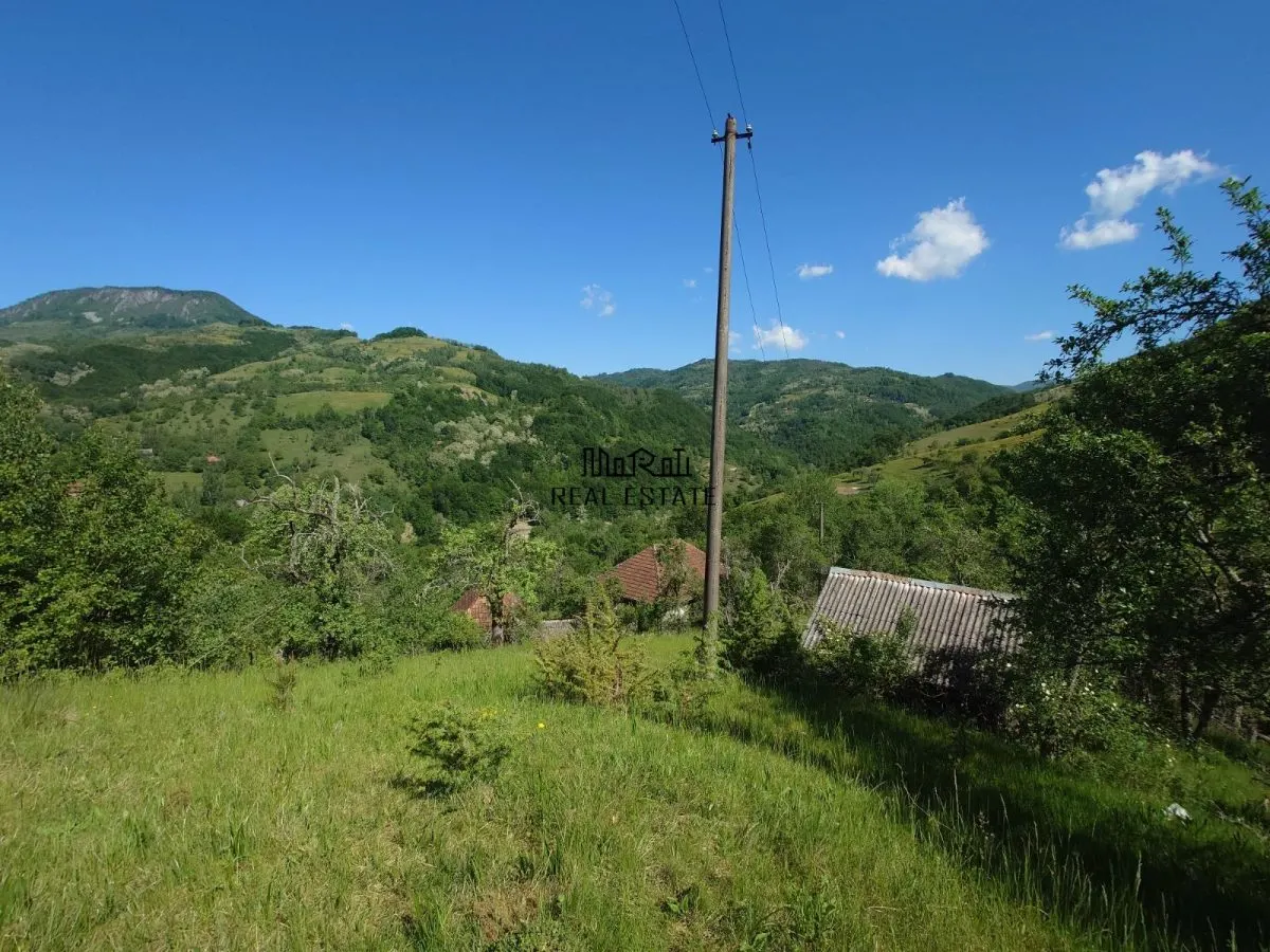 3,5 ha Teren si cladiri in Blajeni - foto 15