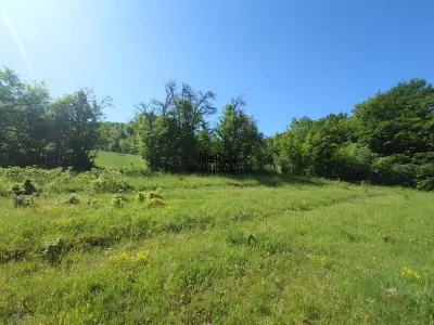 3,5 ha Teren si cladiri in Blajeni - foto 17