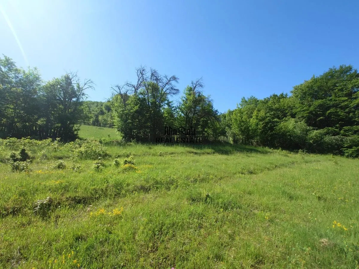 3,5 ha Teren si cladiri in Blajeni - foto 17