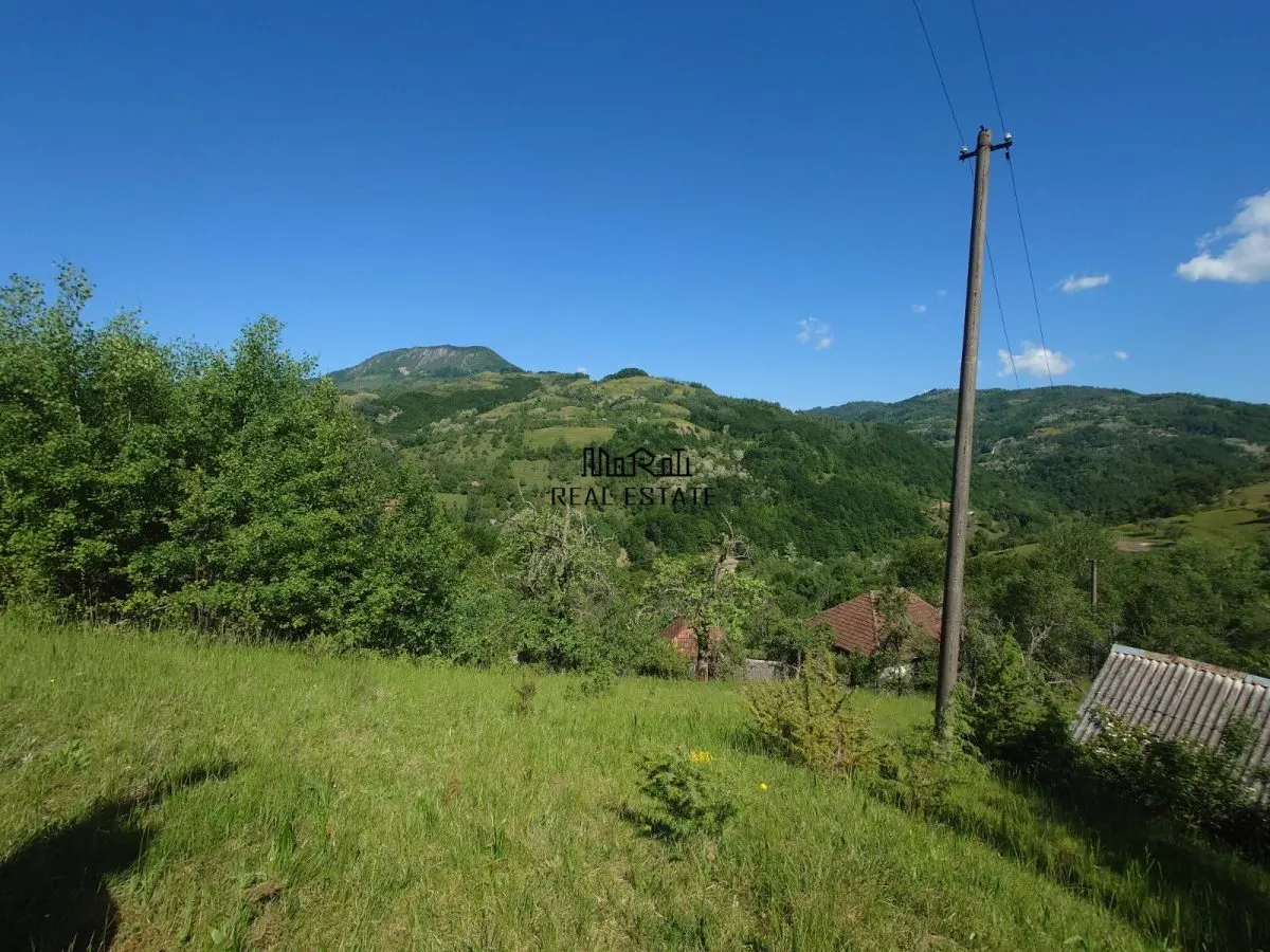 3,5 ha Teren si cladiri in Blajeni - foto 18