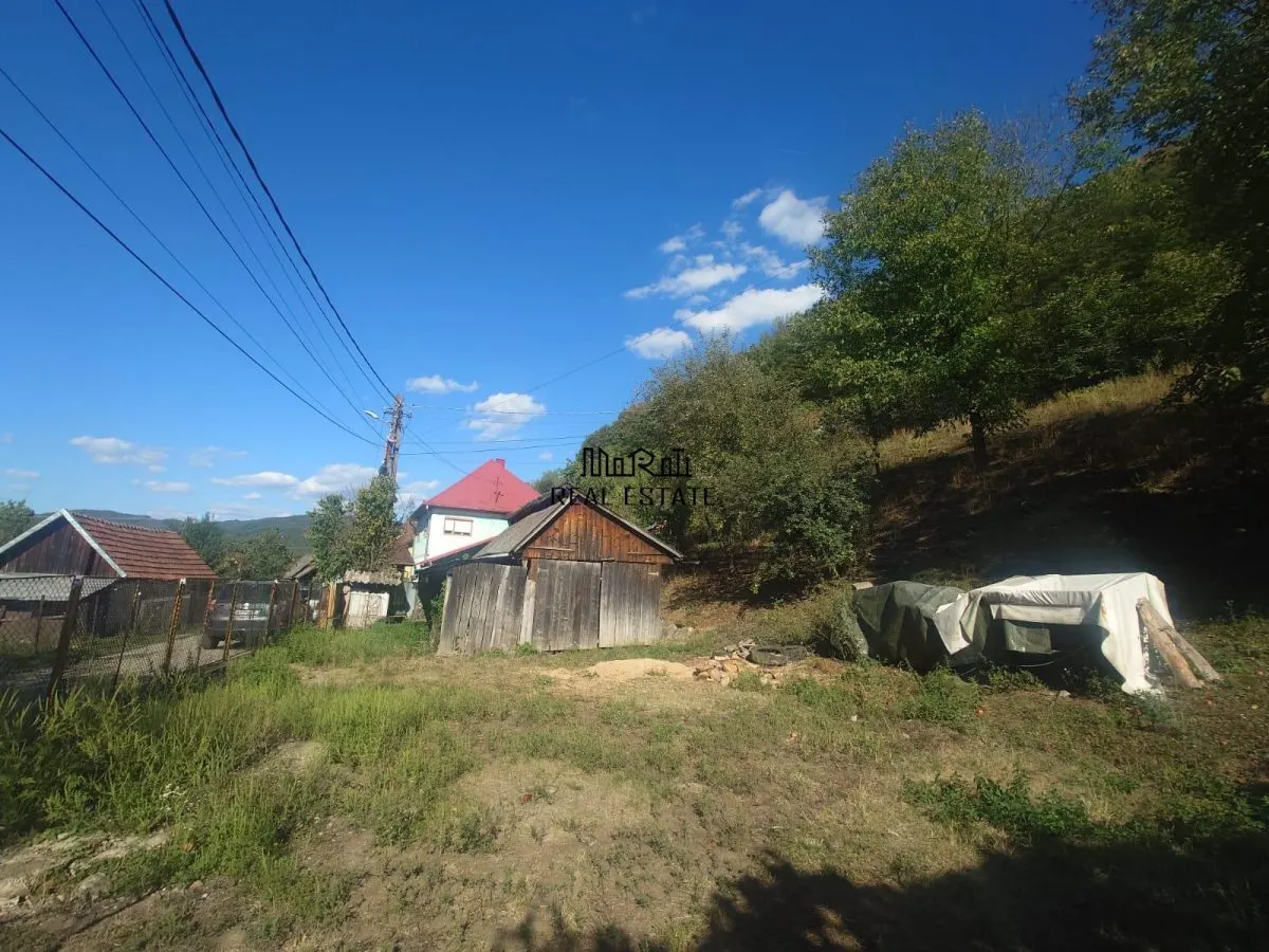 Maison et Terrain à Criscior - foto 15