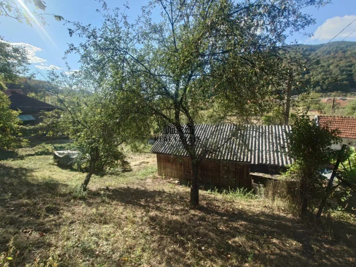 Maison et Terrain à Criscior - foto 16