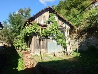 Maison et Terrain à Criscior - foto 17