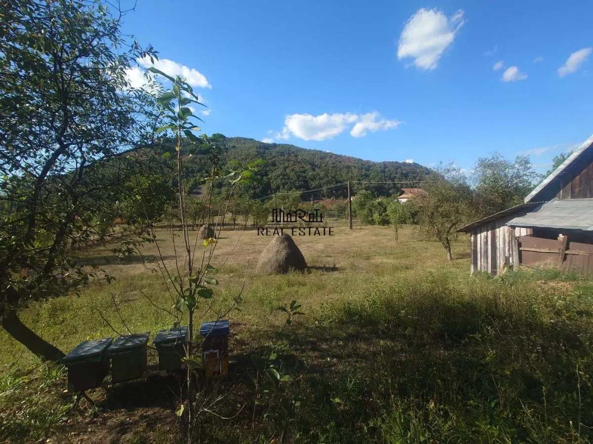 Maison et Terrain à Criscior - foto 18