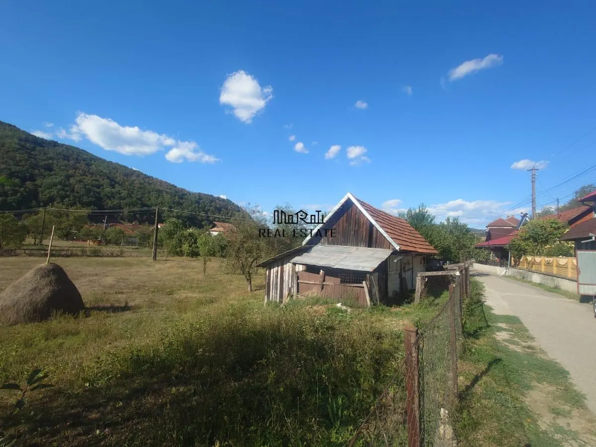 Maison et Terrain à Criscior - foto 19