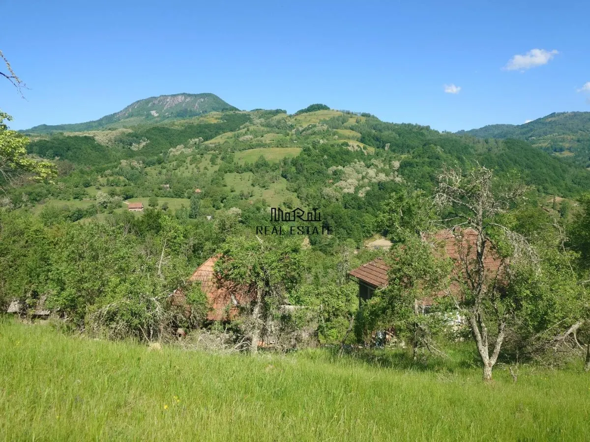 1,3 ha Teren si cladiri in Blajeni - foto 2