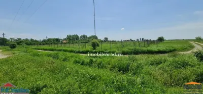 10,000 sqm Urban Land with Utilities, Fenced, Sanleani – Development Ready - foto 10