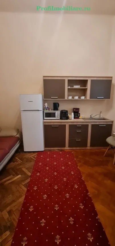 Ansamblu 2 apartamente, central- Podgoria, cladire renovata exterior / interior - foto 24