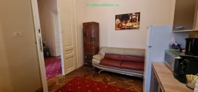 Ansamblu 2 apartamente, central- Podgoria, cladire renovata exterior / interior - foto 25