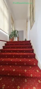 Ansamblu 2 apartamente, central- Podgoria, cladire renovata exterior / interior - foto 4