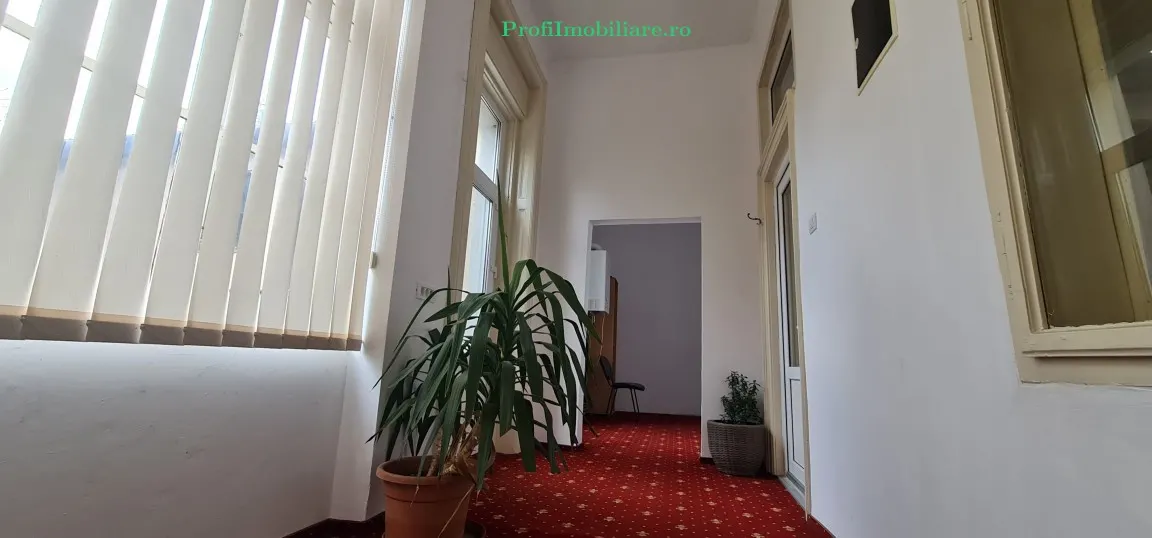 Ansamblu 2 apartamente, central- Podgoria, cladire renovata exterior / interior - foto 6