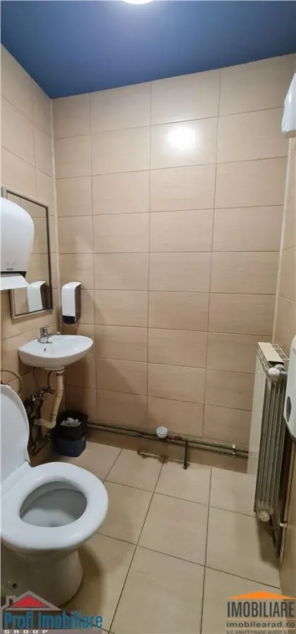 Spatiu in intersectie pe colt, Calea Aurel Vlaicu -Fortuna - foto 15