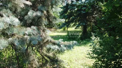 Teren Chitila LDL - foto 2