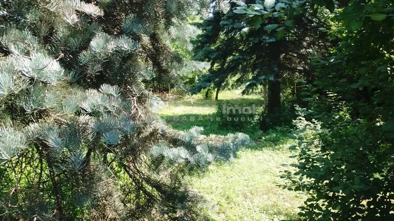 Teren Chitila LDL - foto 2