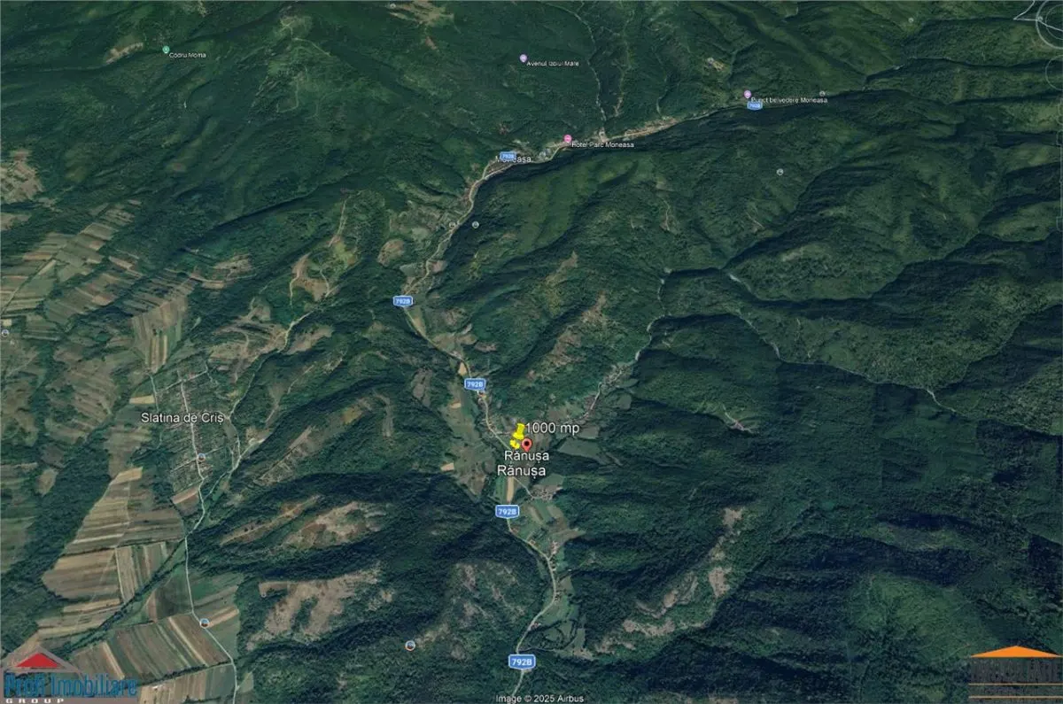 Teren 1000 mp intravilan in Ranusa, Jud. Arad - foto 10
