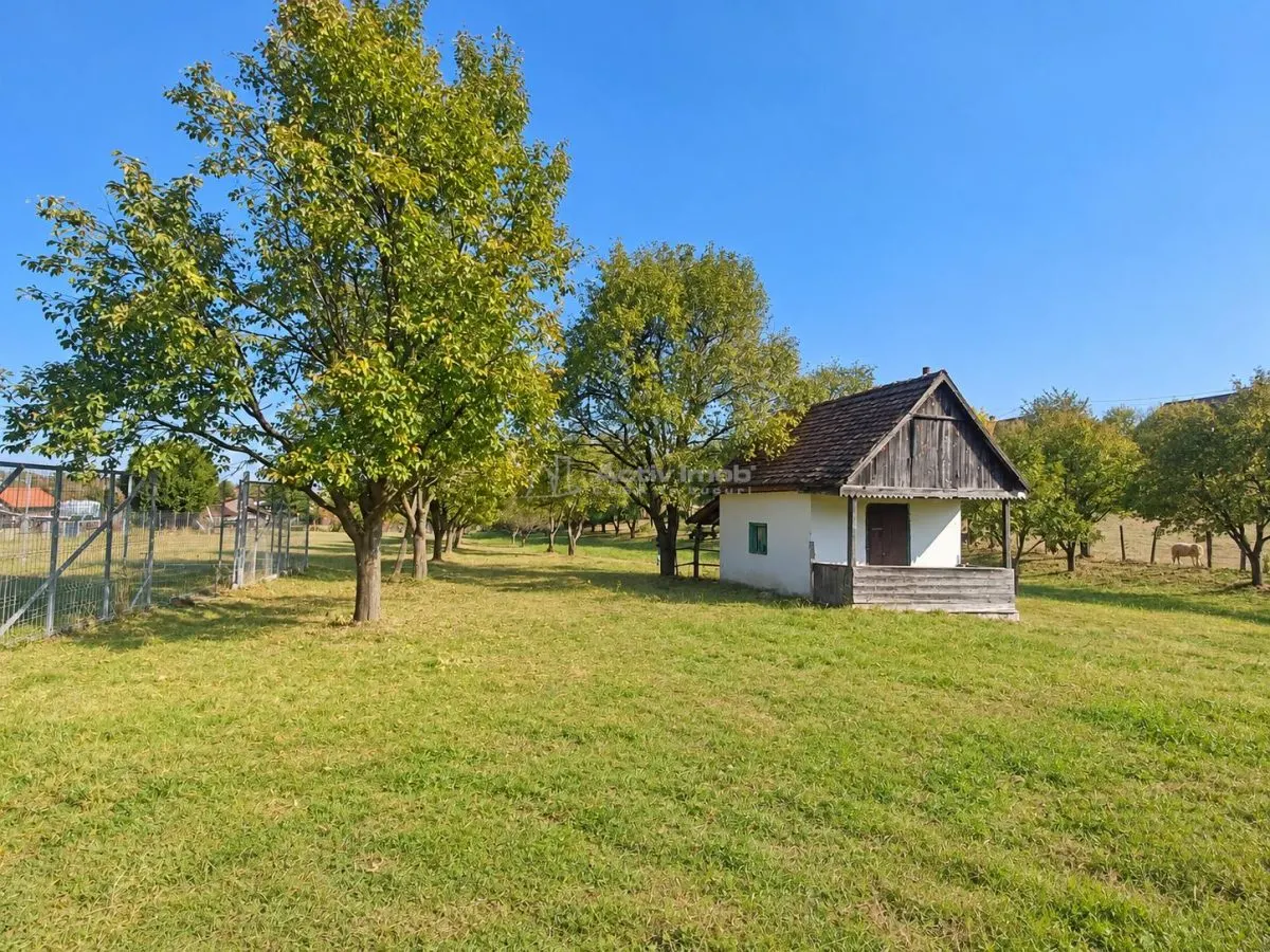 Terrain Premium à Tocile – Potentiel d'Investissement - foto 4
