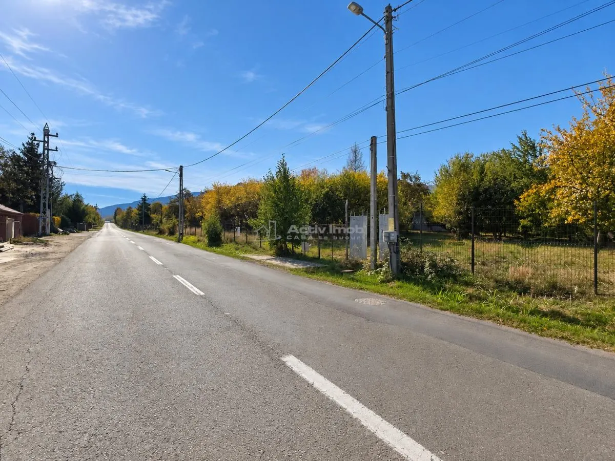 Terrain Premium à Tocile – Potentiel d'Investissement - foto 6