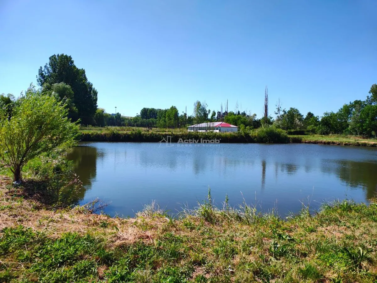 Teren 18.247 mp cu balta de pescuit – Misca, Comuna Chislaz, Bihor - foto 1