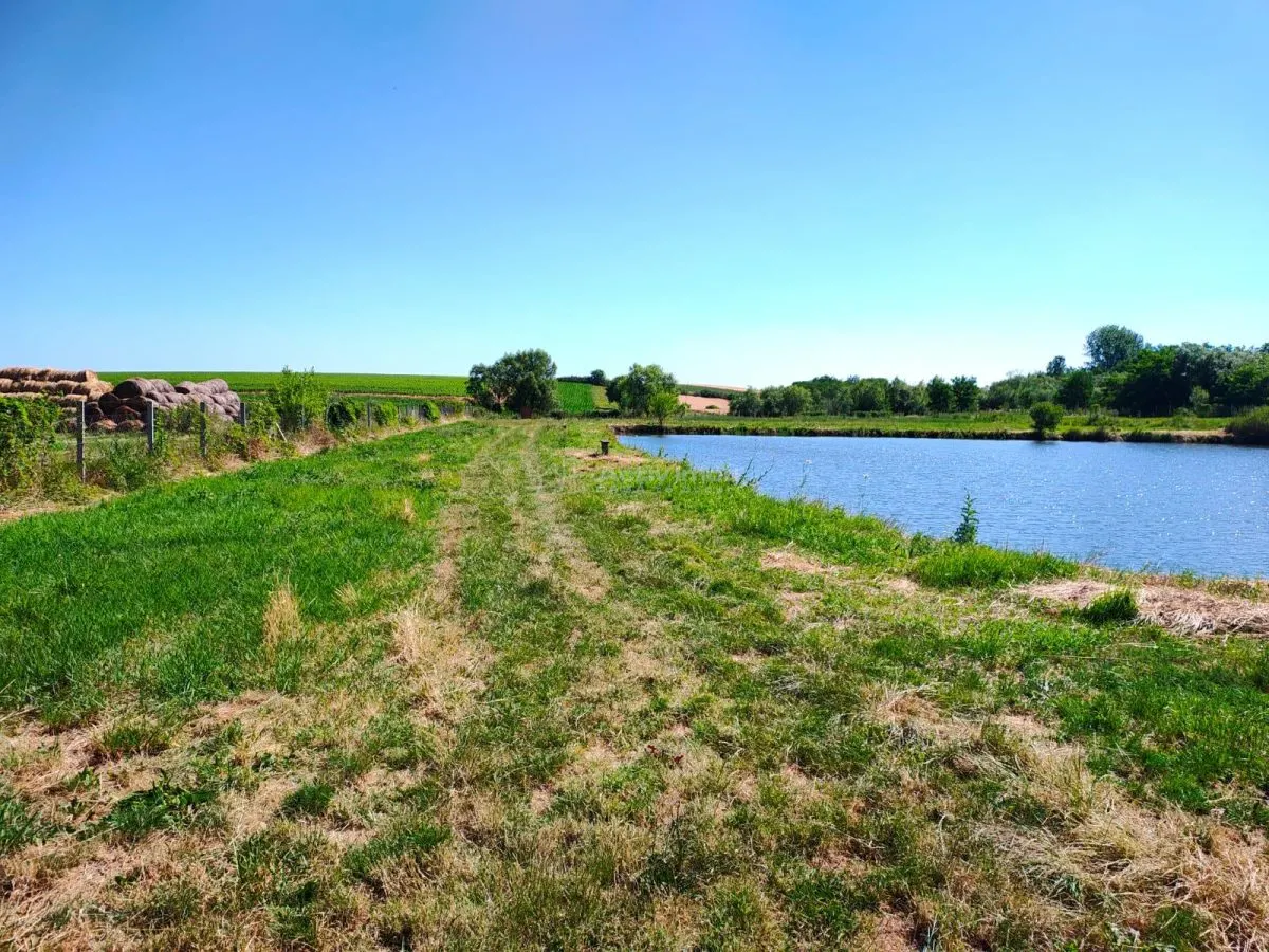 Teren 18.247 mp cu balta de pescuit – Misca, Comuna Chislaz, Bihor - foto 5