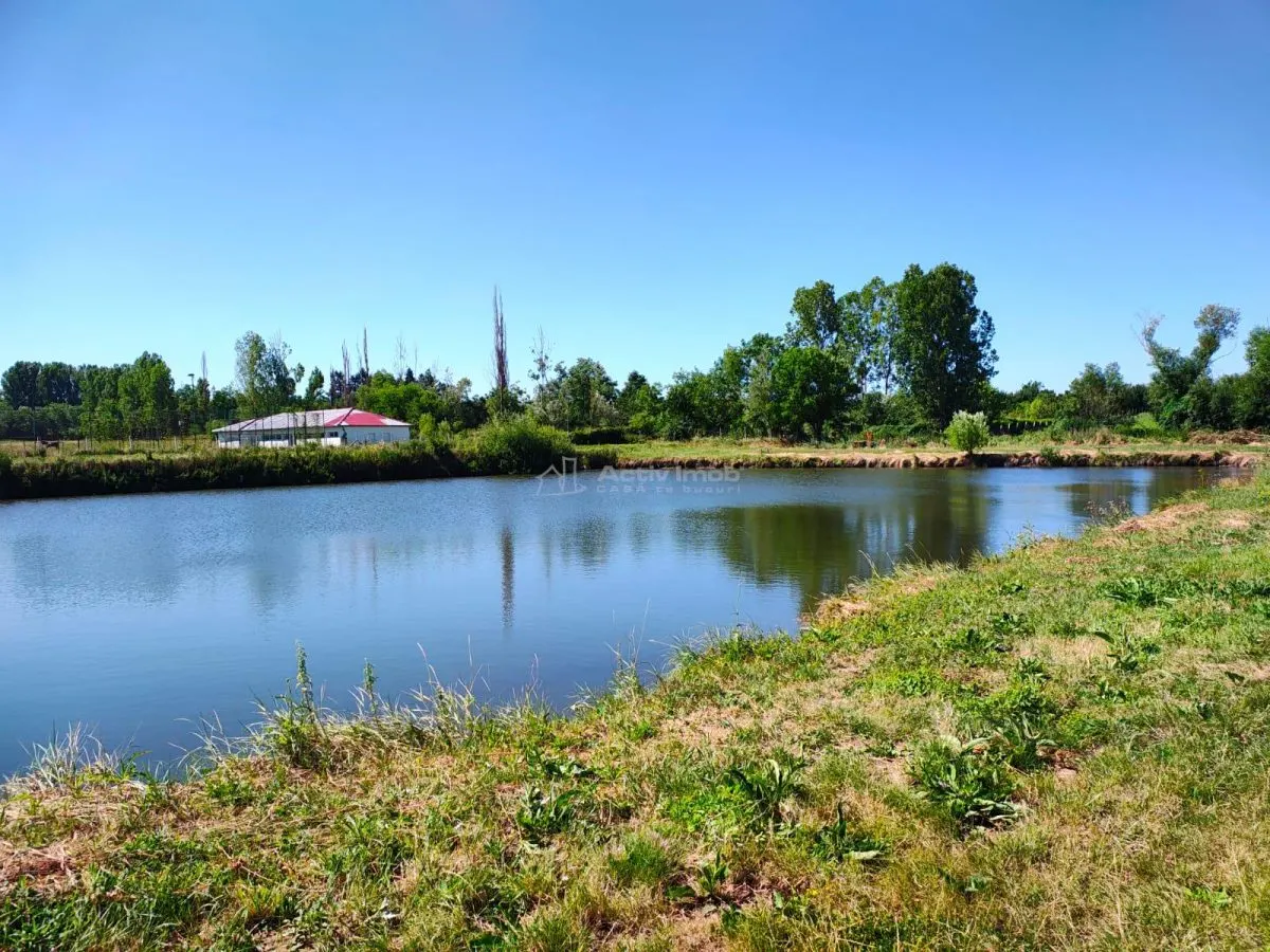 Teren 18.247 mp cu balta de pescuit – Misca, Comuna Chislaz, Bihor - foto 7
