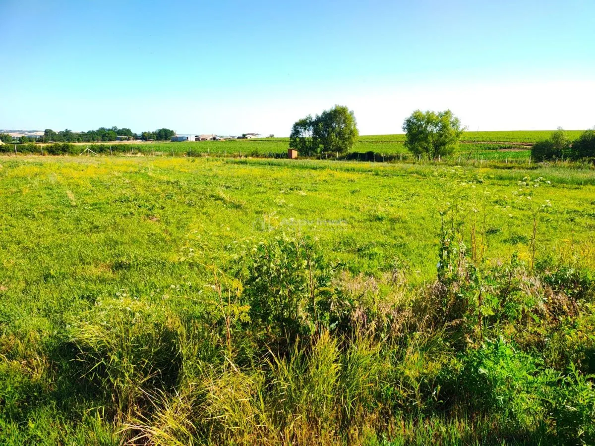 Teren 18.247 mp cu balta de pescuit – Misca, Comuna Chislaz, Bihor - foto 8