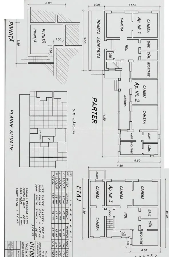Imobil cu 270 mp construiti - langa Palatul Baroc – locuinta sau investitie - foto 2