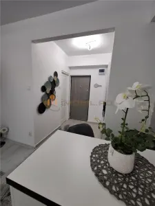 Garsoniera - Zona Nicolina (Podu Ros) - arata Lux - foto 5