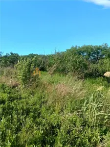 Teren de vanzare zona Valea Lungă - Holboca - foto 5