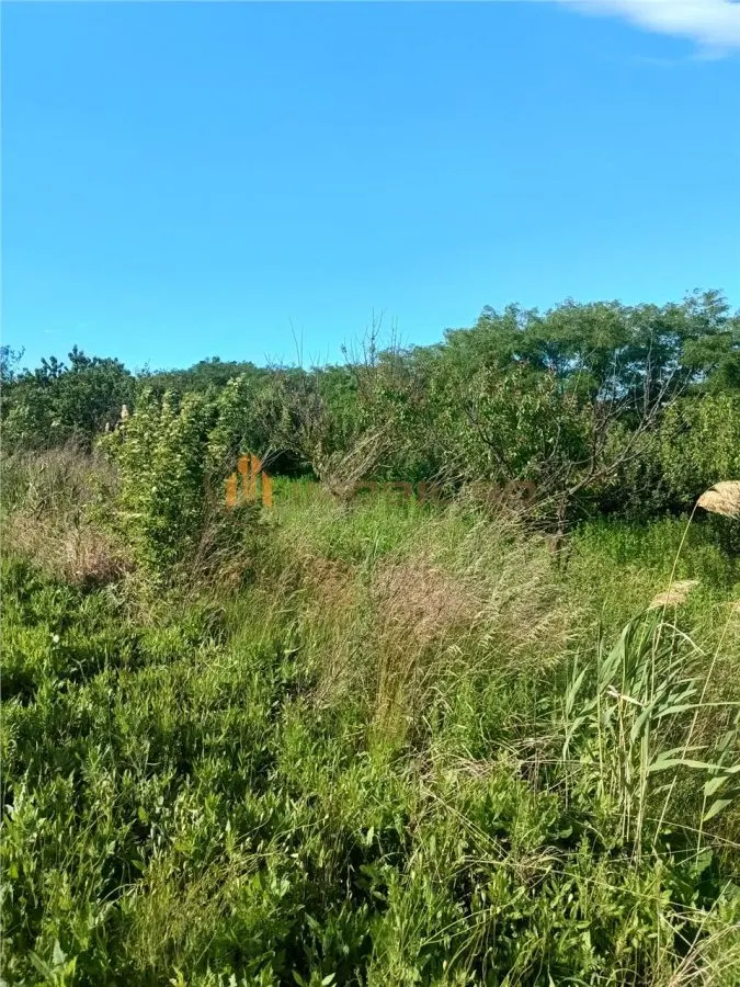 Teren de vanzare zona Valea Lungă - Holboca - foto 5