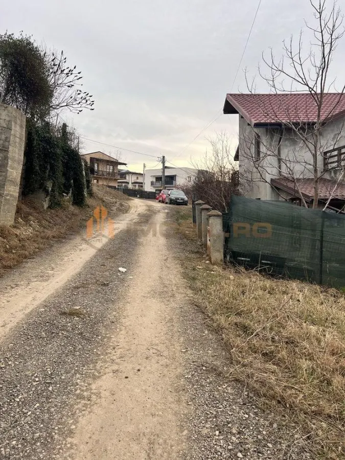 Teren de vanzare zona Iasi - Hlincea/Manta Rosie - foto 5