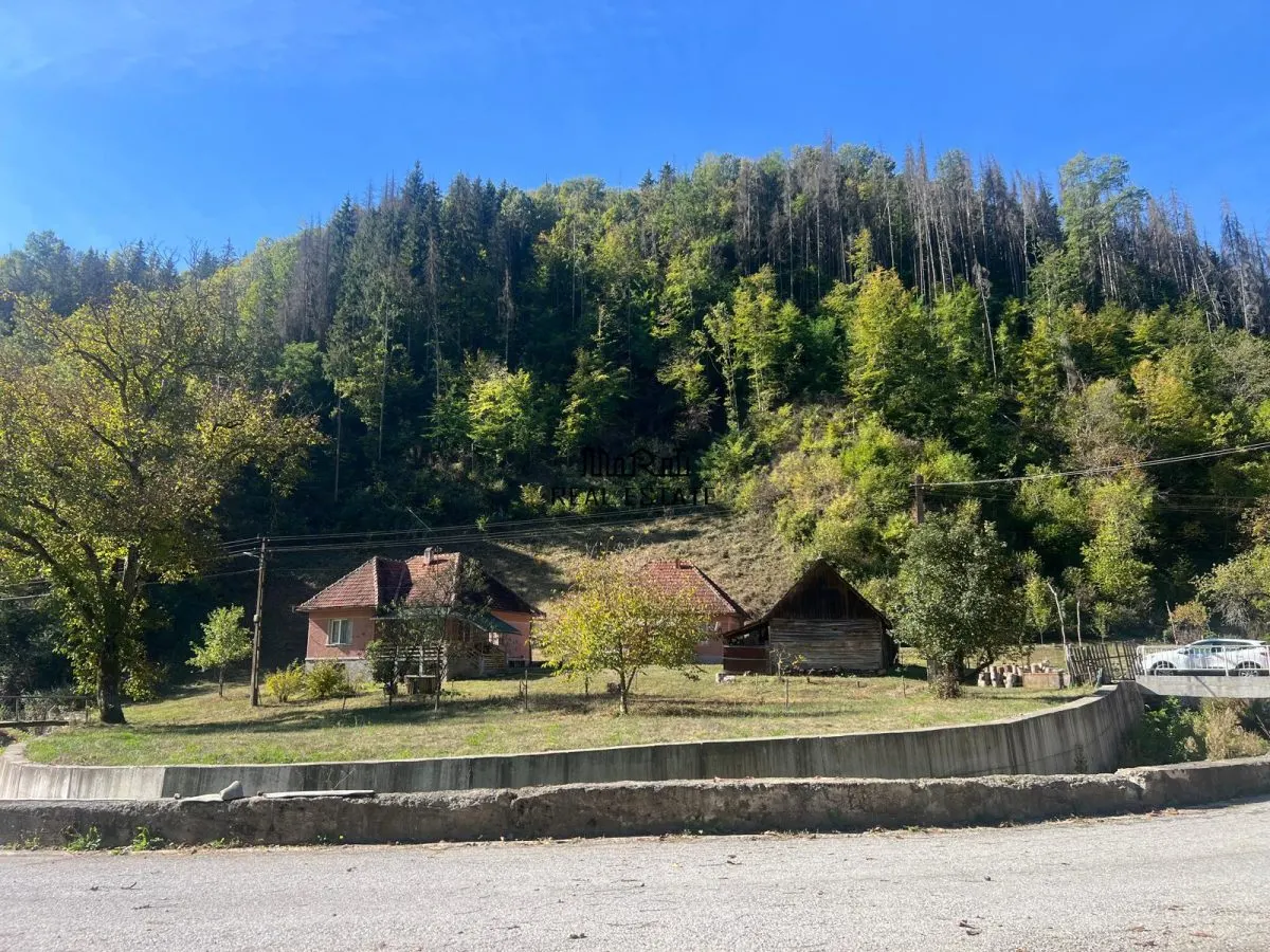 Deux Maisons avec Terrain et Forêt à Mihaileni, Buces - foto 1