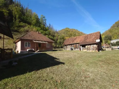 Deux Maisons avec Terrain et Forêt à Mihaileni, Buces - foto 14