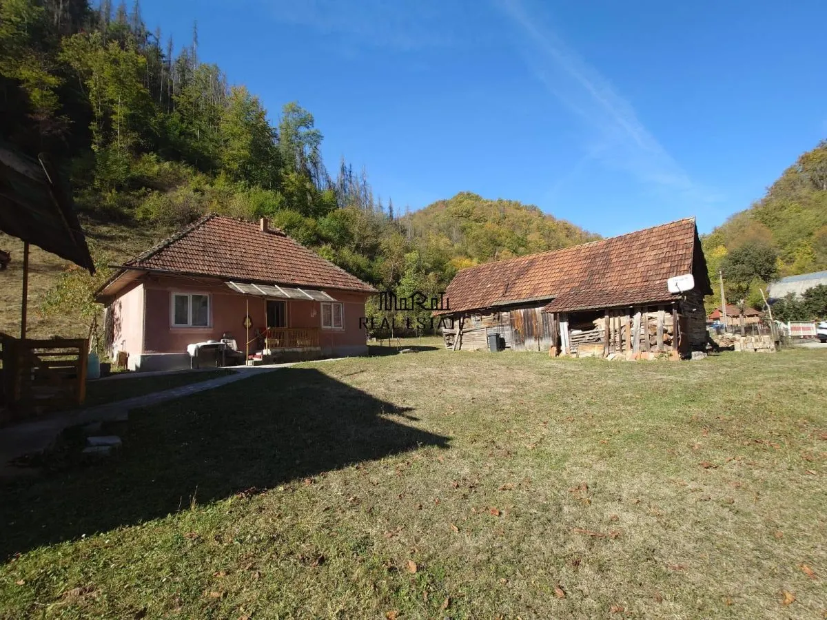 Deux Maisons avec Terrain et Forêt à Mihaileni, Buces - foto 14