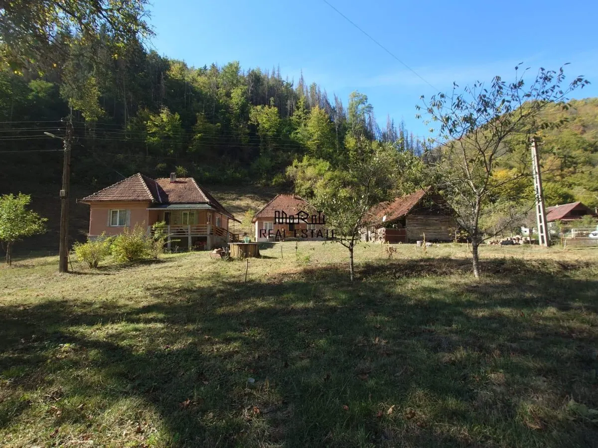 Deux Maisons avec Terrain et Forêt à Mihaileni, Buces - foto 19