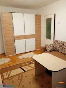 Appartement 2 Pièces à Louer, Calea Romanilor - foto 3