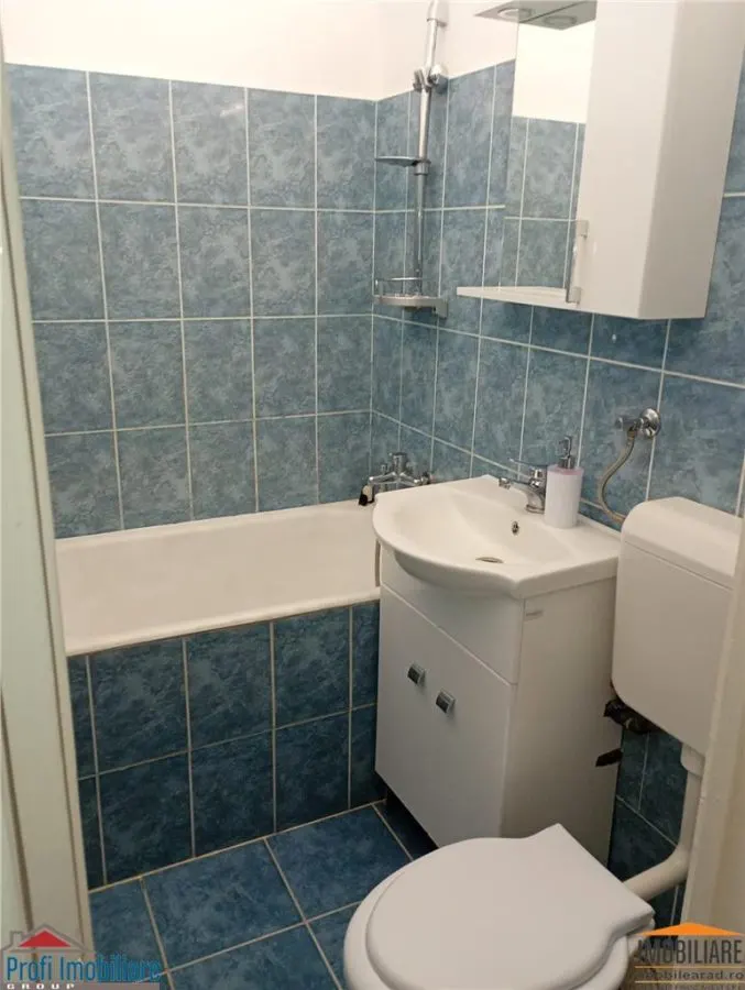 Appartement 2 Pièces à Louer, Calea Romanilor - foto 10