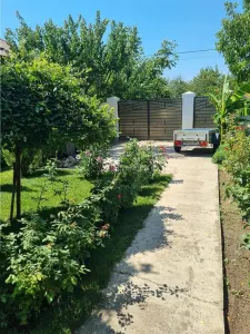 Casa-Vila Noua la intrare in Buzescu P+M - foto 19