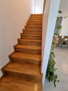 Casa-Vila Noua la intrare in Buzescu P+M - foto 7