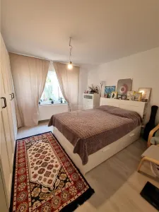 Casa-Vila Noua la intrare in Buzescu P+M - foto 10