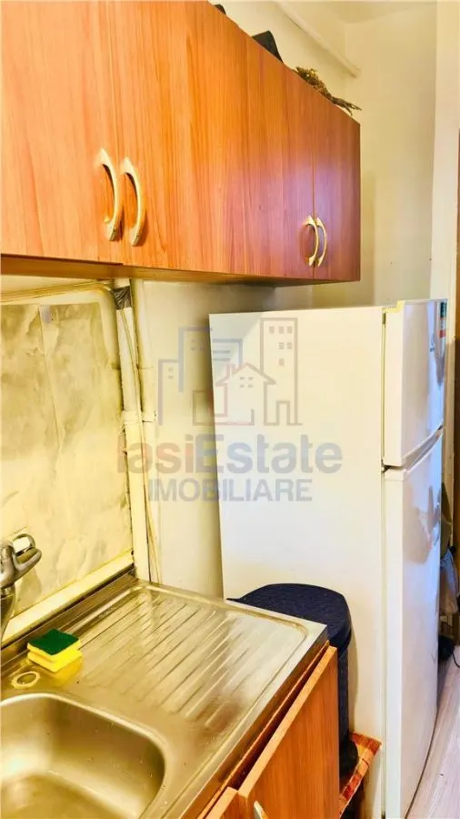 Apartament 1 camera zona Dacia - etajul 1 - foto 5