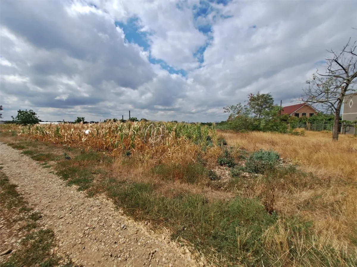 Terreno Urbano en Venta en Episcopia, Calle Cantaretului - foto 5