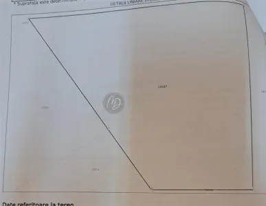 帕列乌城市用地 – 772平方米，街道临街面36.33米 - foto 6